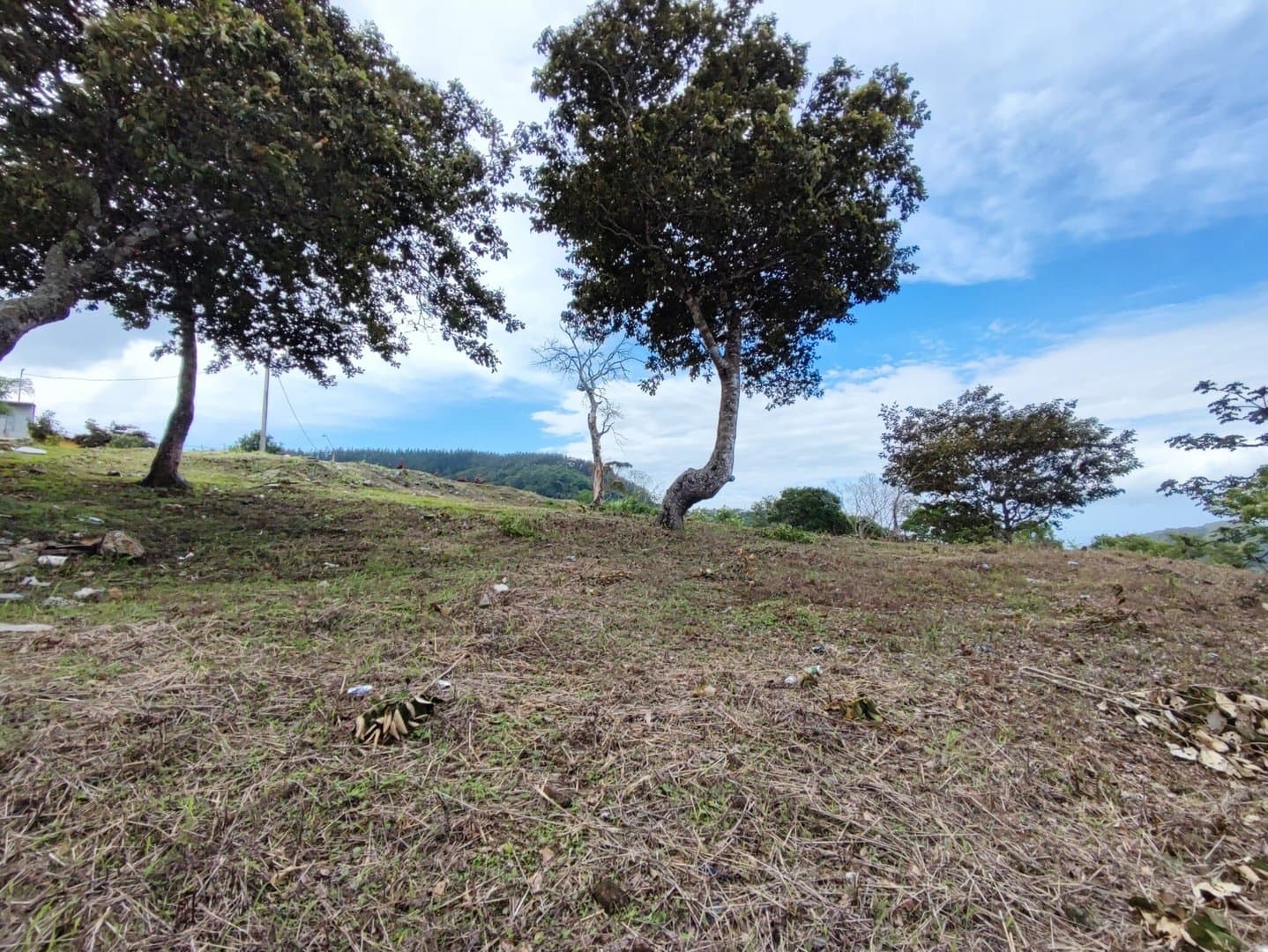 Great opportunity lot with amazing view near to El Valle P-0407 - Image 11