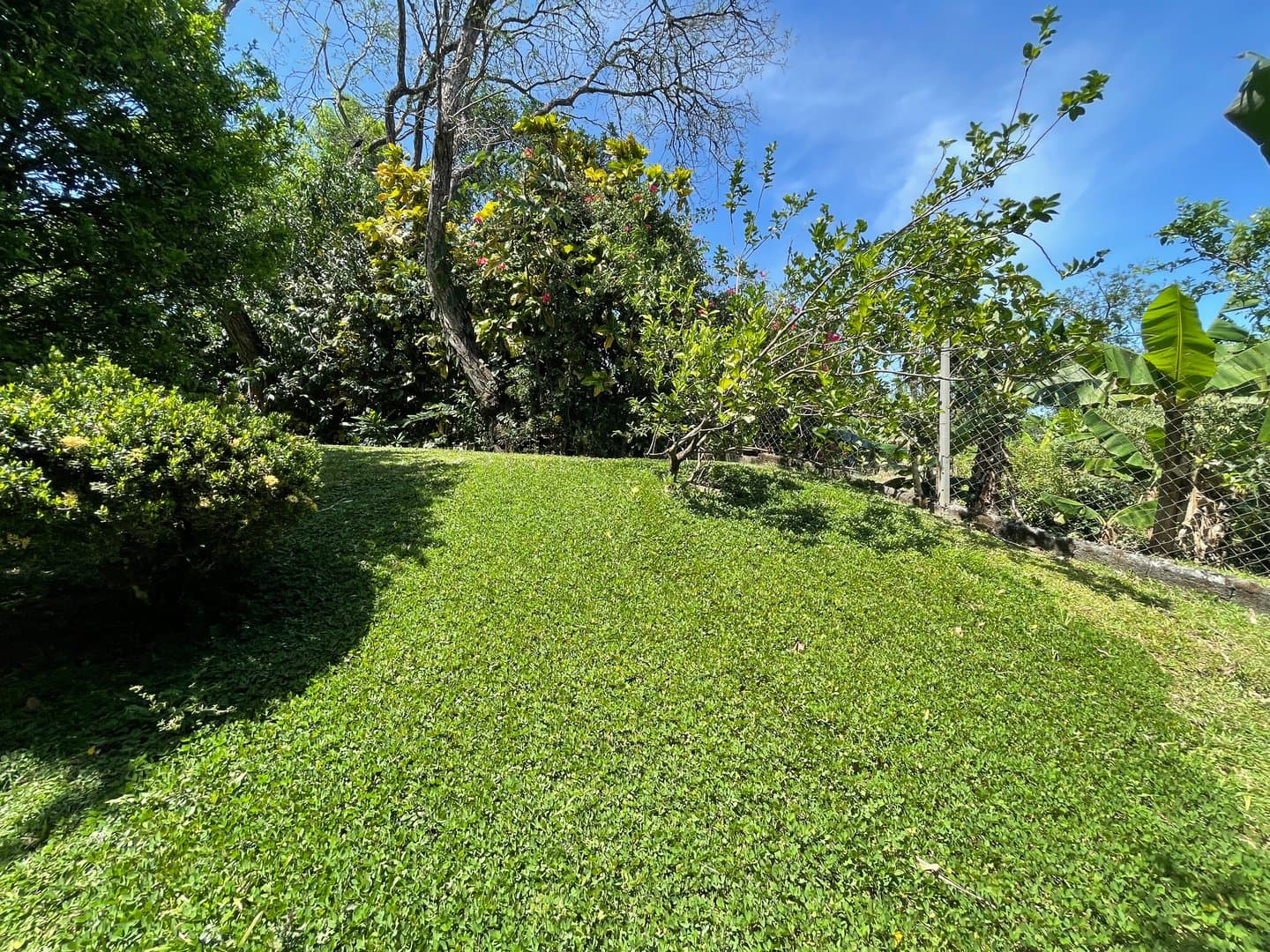 Find Your Oasis in Dolega – Two-Story Home, Additional House, and Spacious Yard L-0009 - Image 53