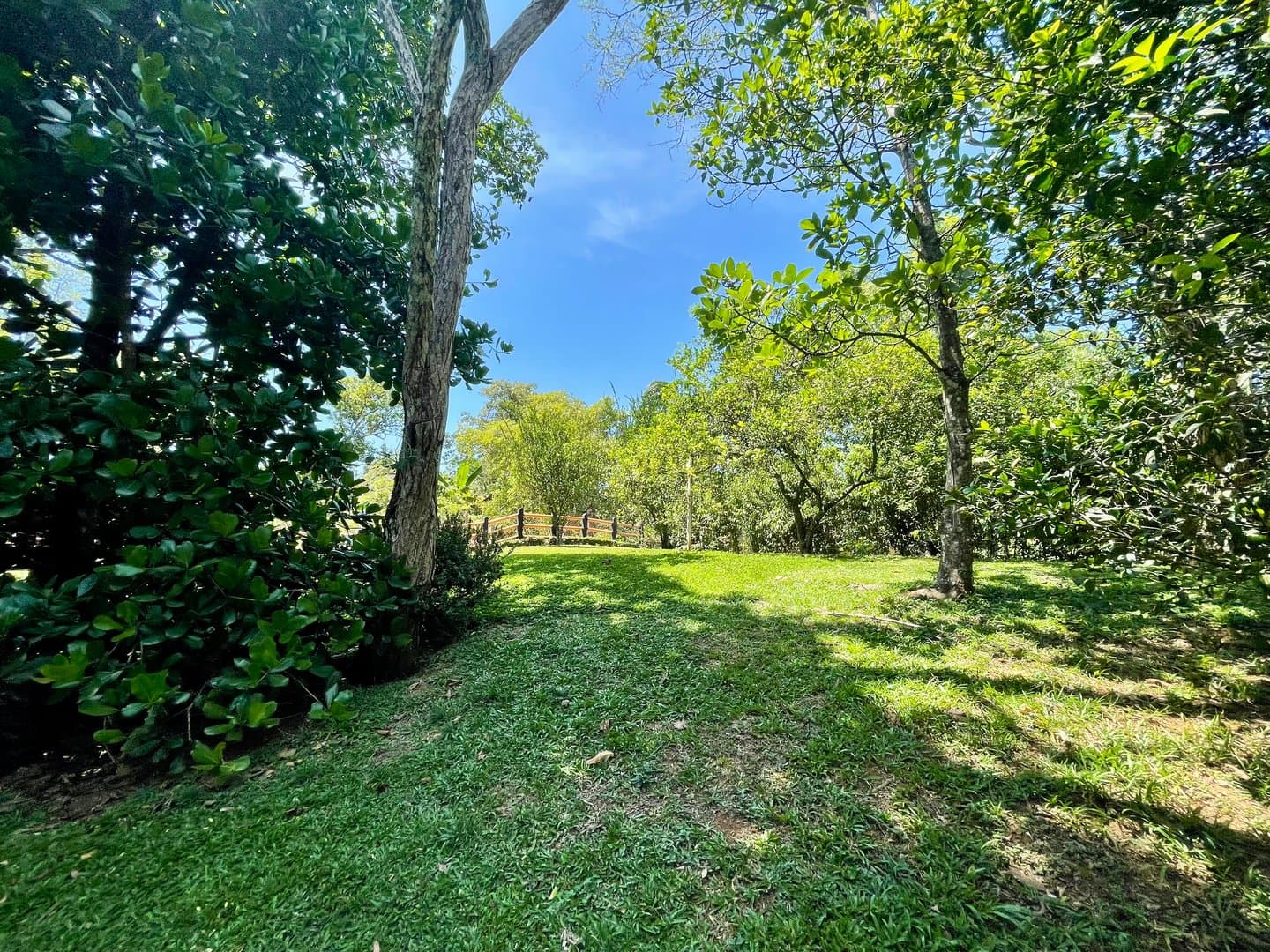 Find Your Oasis in Dolega – Two-Story Home, Additional House, and Spacious Yard L-0009 - Image 54