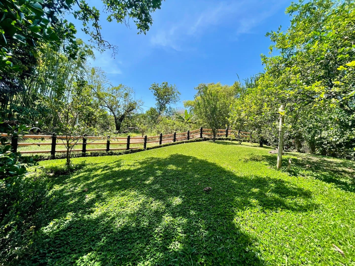 Find Your Oasis in Dolega – Two-Story Home, Additional House, and Spacious Yard L-0009 - Image 3