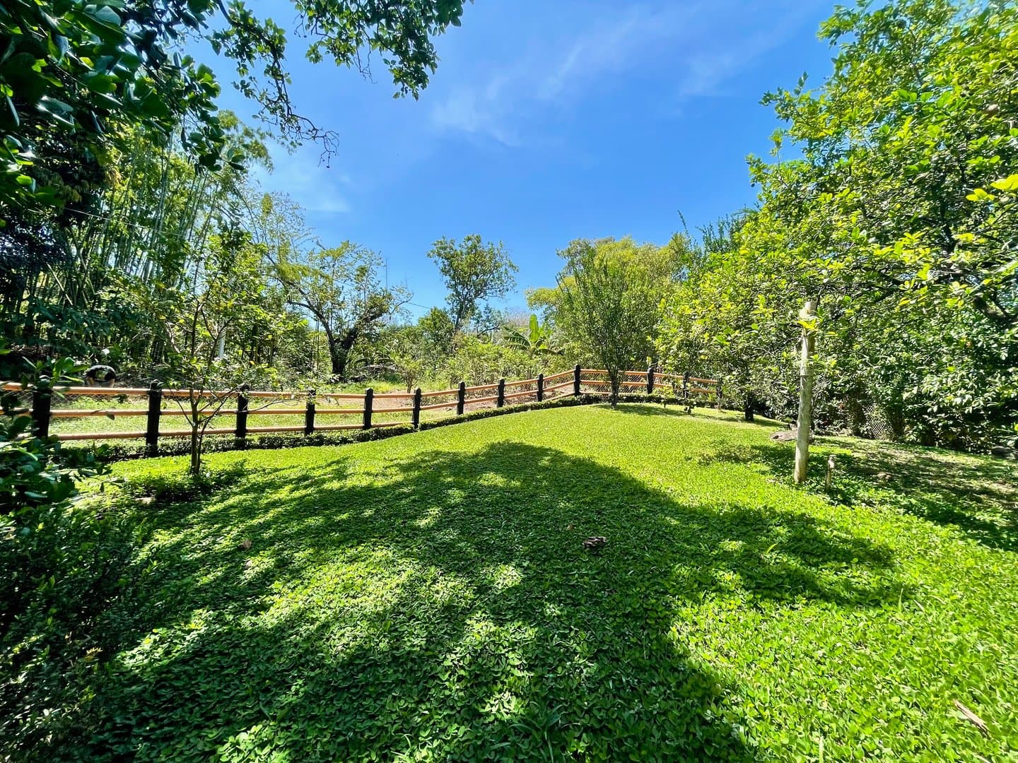 Find Your Oasis in Dolega – Two-Story Home, Additional House, and Spacious Yard L-0009 - Image 37