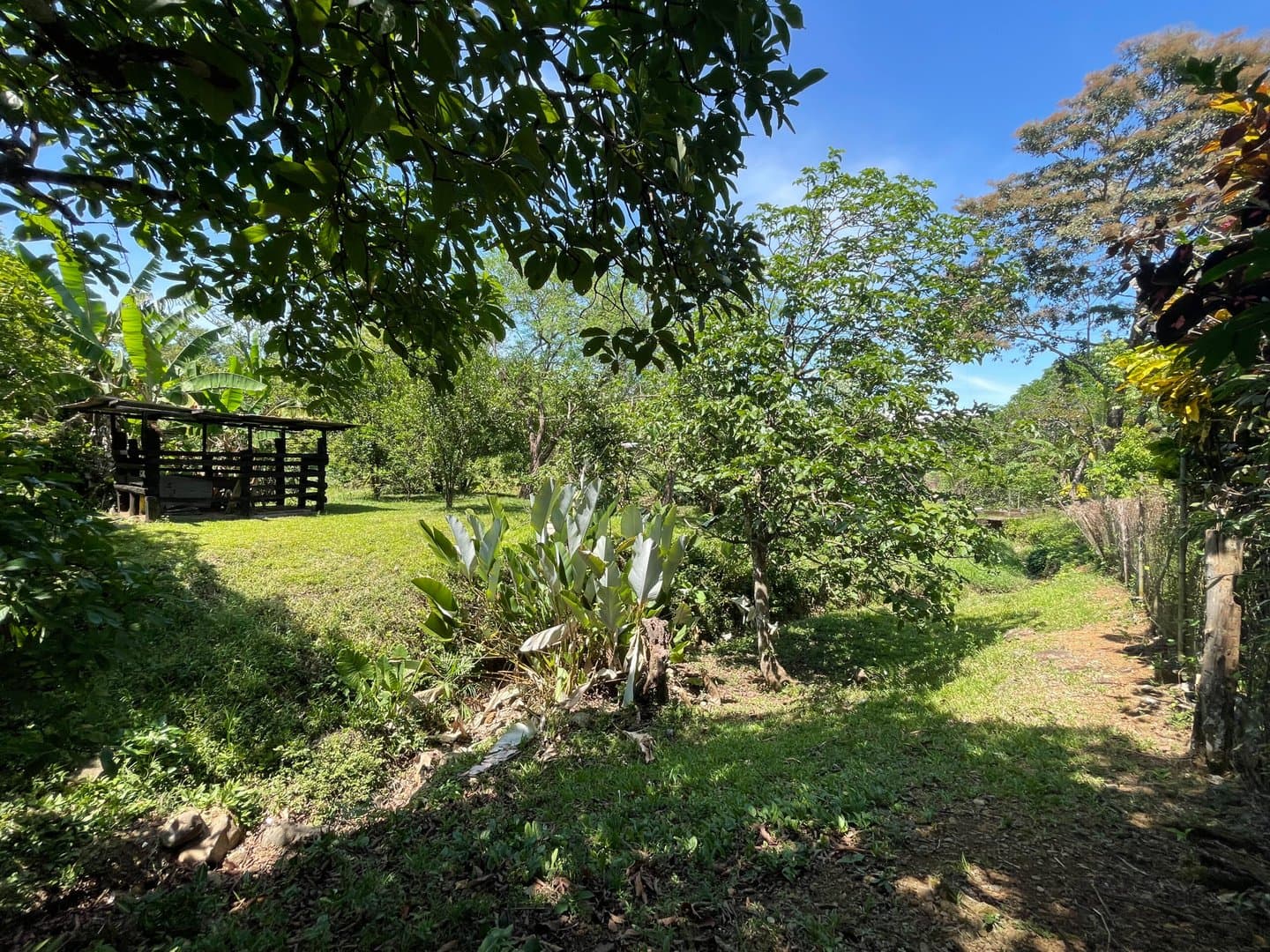 Find Your Oasis in Dolega – Two-Story Home, Additional House, and Spacious Yard L-0009 - Image 34