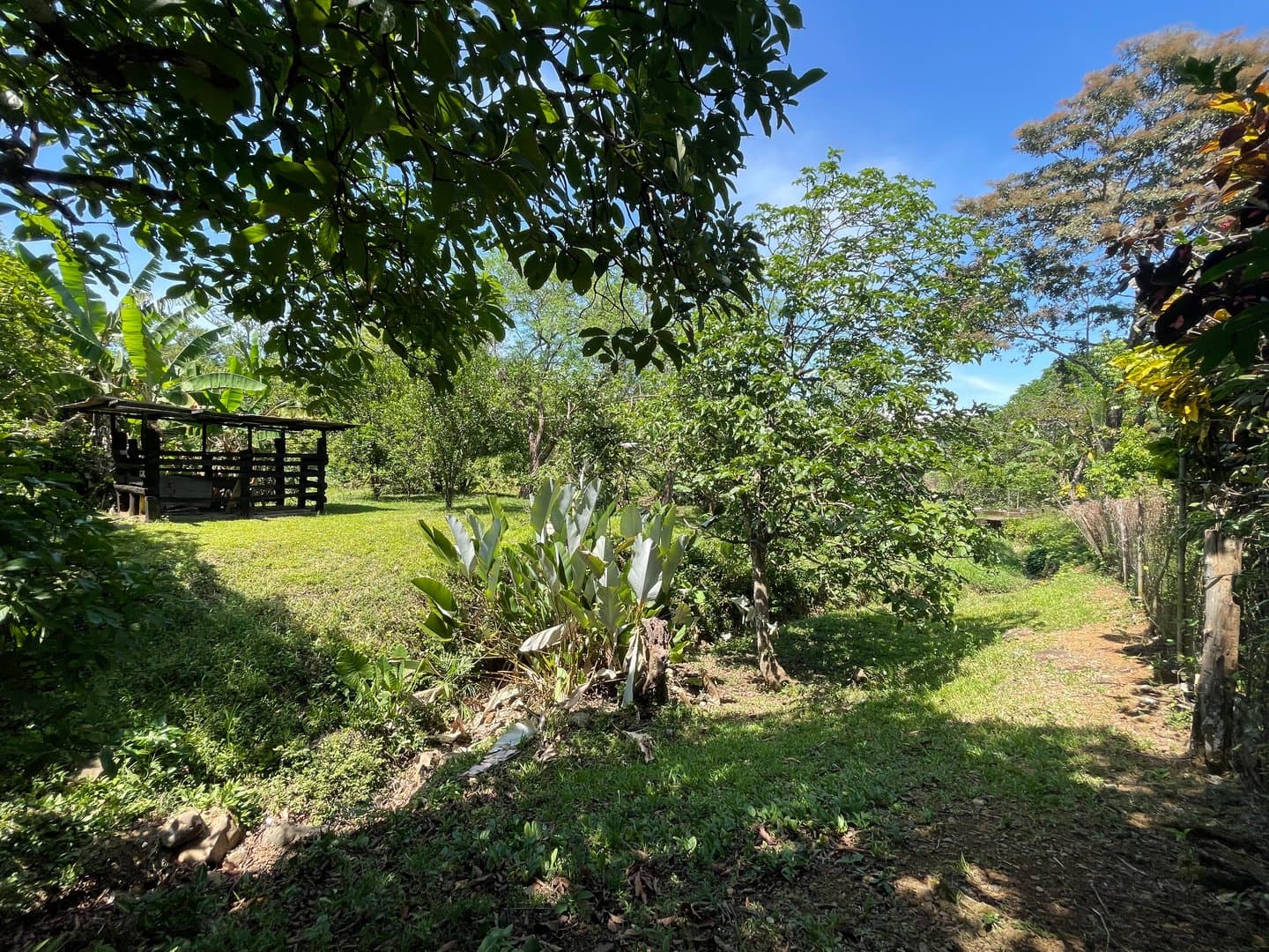 Find Your Oasis in Dolega – Two-Story Home, Additional House, and Spacious Yard L-0009 - Image 68
