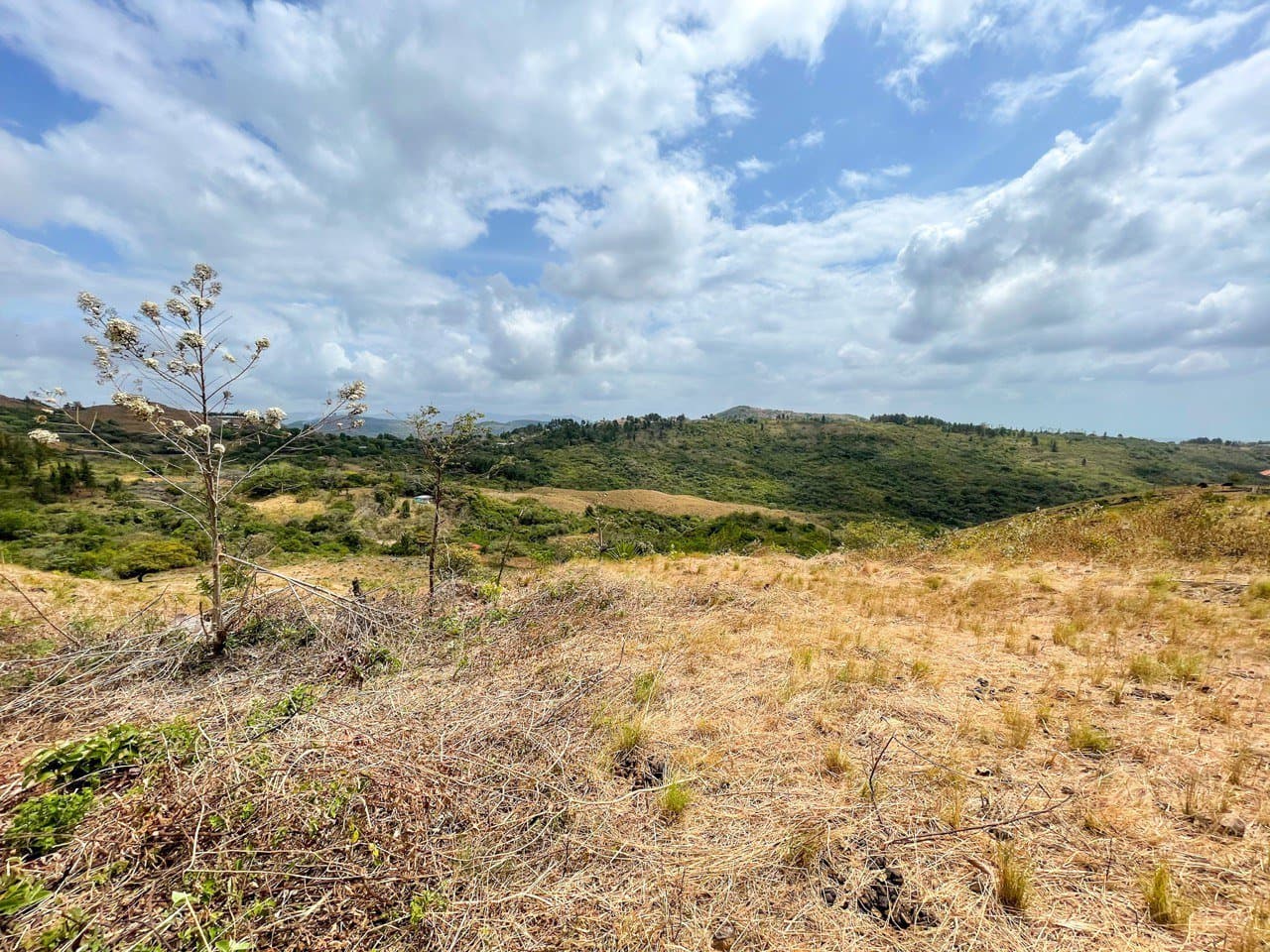 Land FOR SALE in La Laguna, San Carlos R-0479 - Image 1