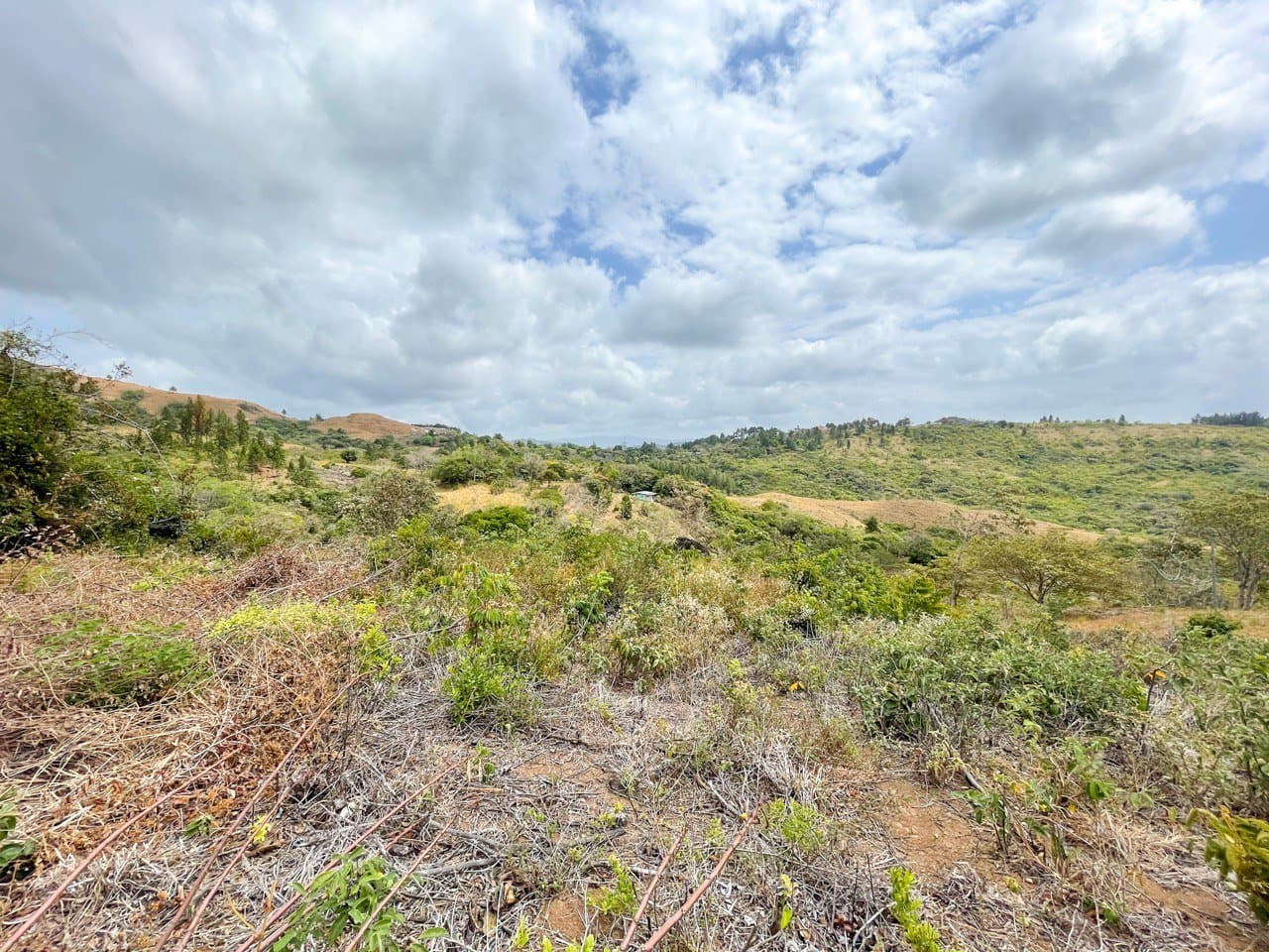 Land FOR SALE in La Laguna, San Carlos R-0479 - Image 3
