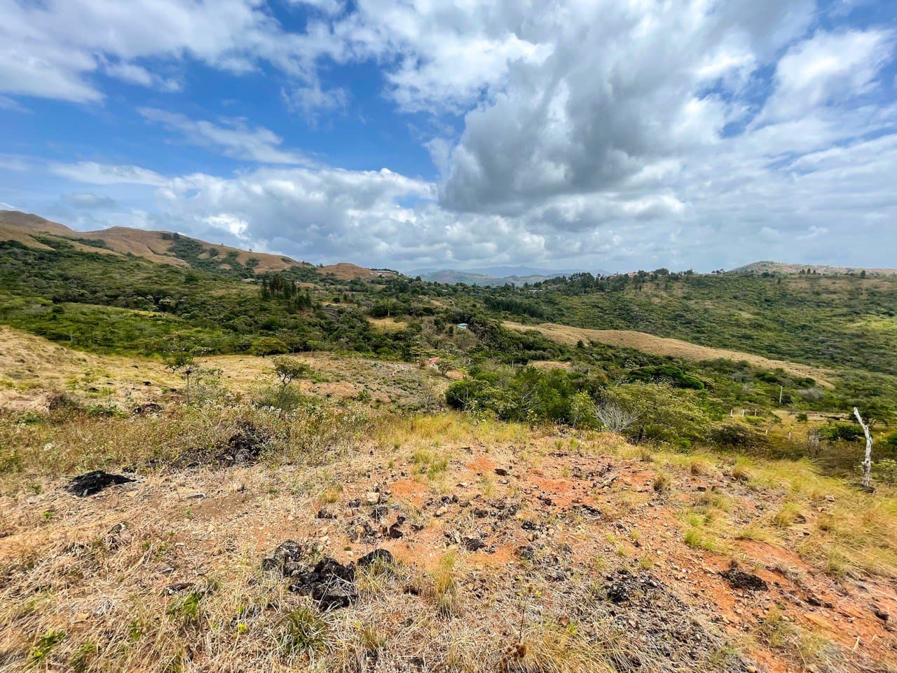 Land FOR SALE in La Laguna, San Carlos R-0479 - Image 4
