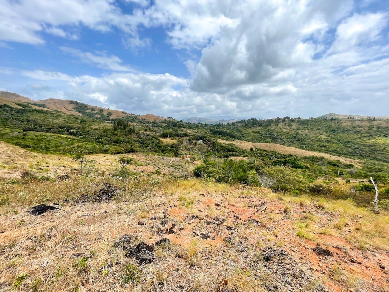 Land FOR SALE in La Laguna, San Carlos R-0479 - Image 6