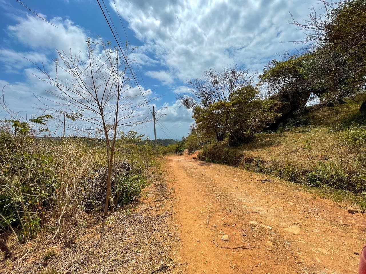 Land FOR SALE in La Laguna, San Carlos R-0479 - Image 7