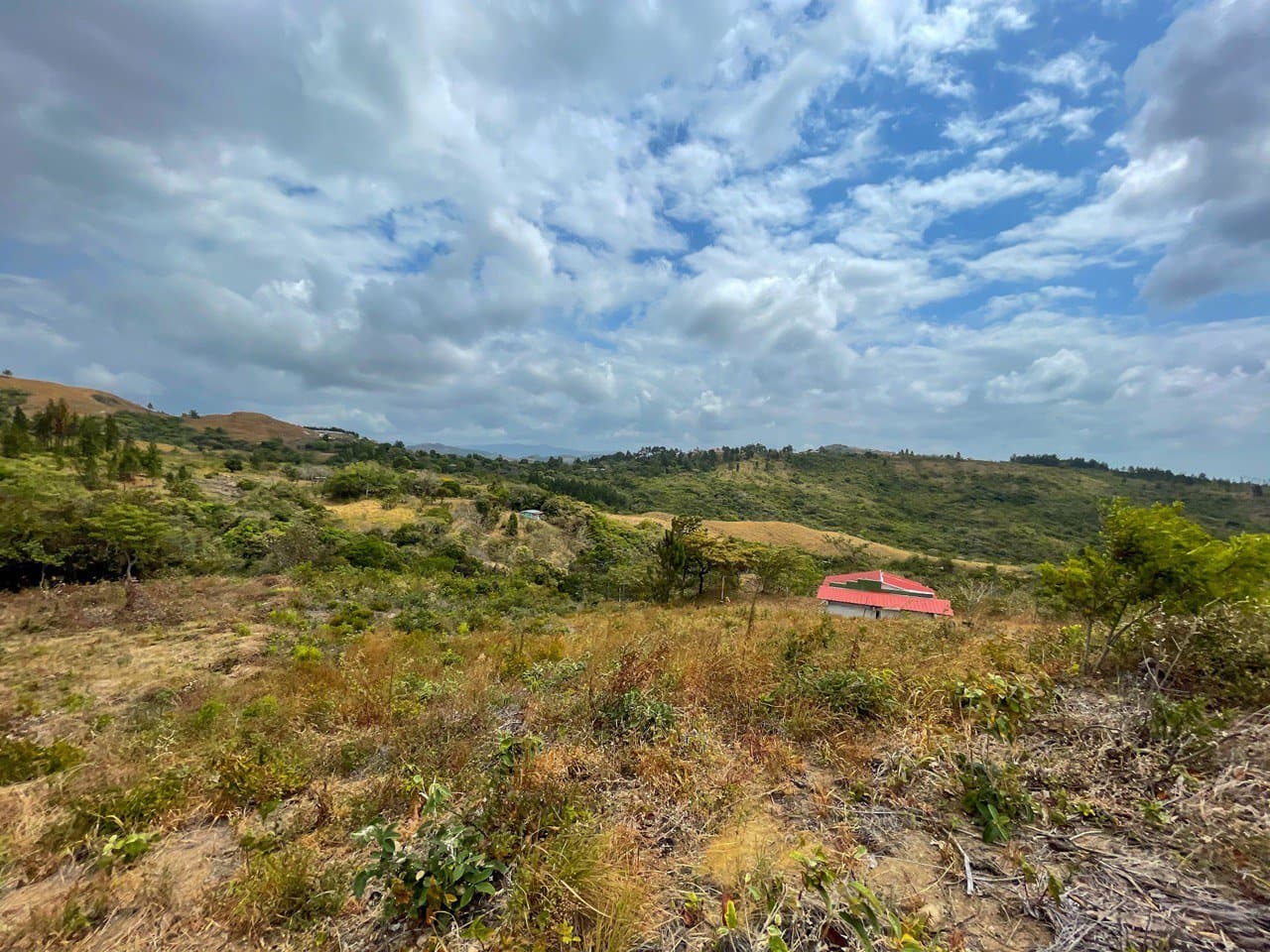 Land FOR SALE in La Laguna, San Carlos R-0479 - Image 8