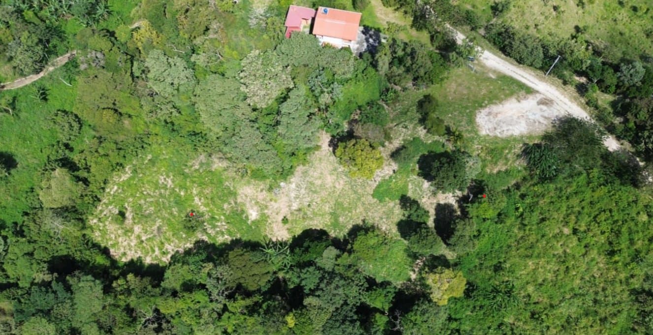 Country in Laguna de San Carlos, Almost One Hectare P-0203 - Image 1