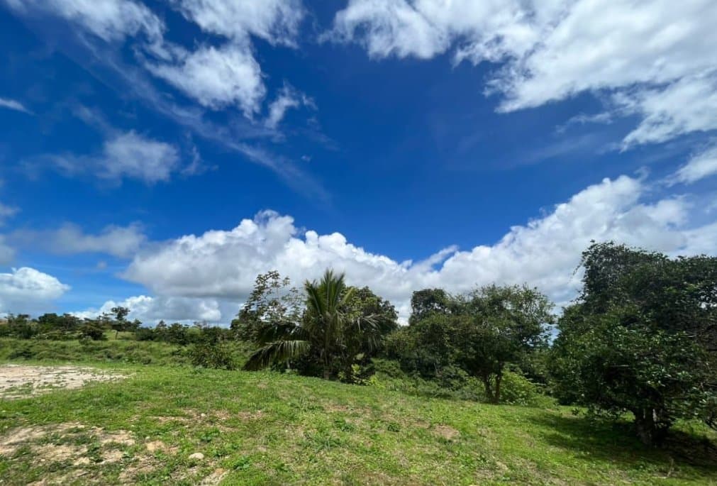 Country in Laguna de San Carlos, Almost One Hectare P-0203 - Image 11