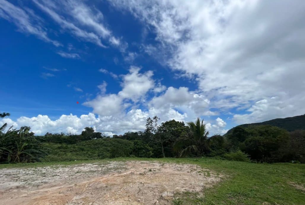 Country in Laguna de San Carlos, Almost One Hectare P-0203 - Image 12
