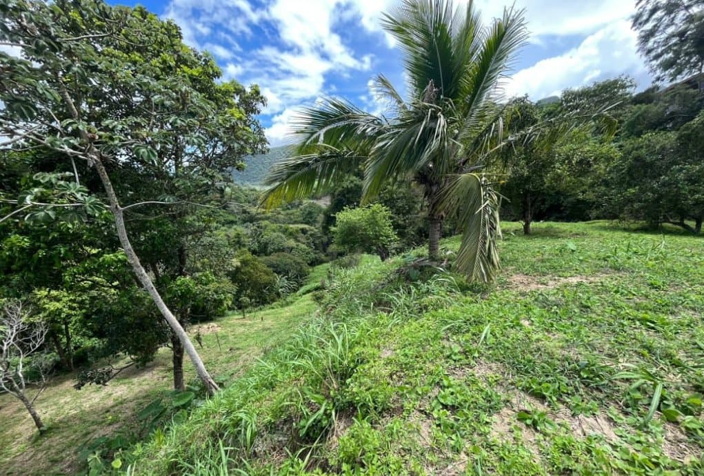 Country in Laguna de San Carlos, Almost One Hectare P-0203 - Image 14