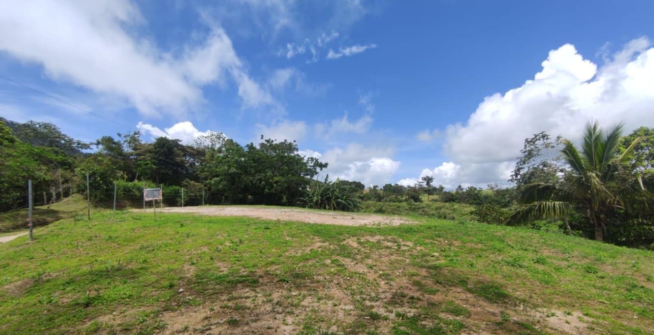 Country in Laguna de San Carlos, Almost One Hectare P-0203 - Image 18