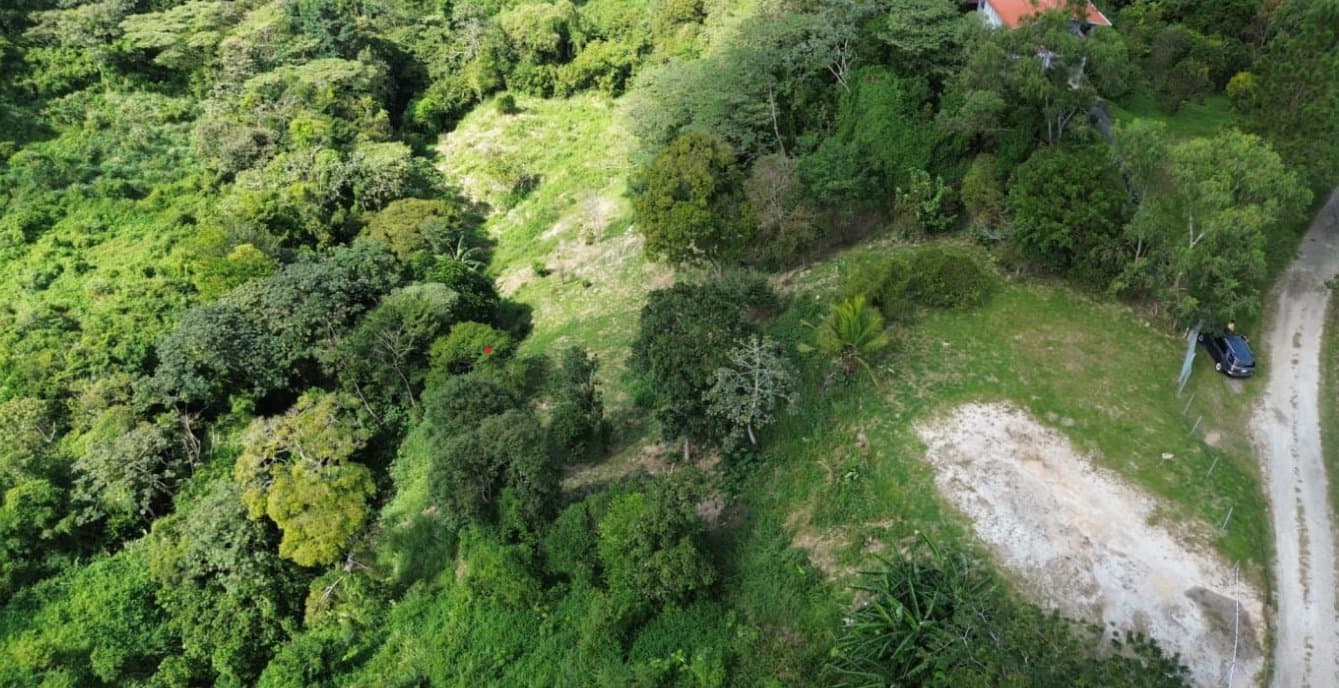 Country in Laguna de San Carlos, Almost One Hectare P-0203 - Image 2