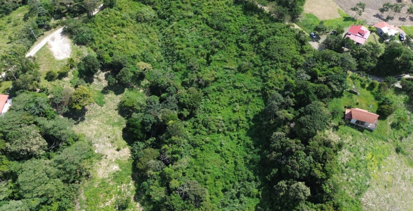 Country in Laguna de San Carlos, Almost One Hectare P-0203 - Image 3