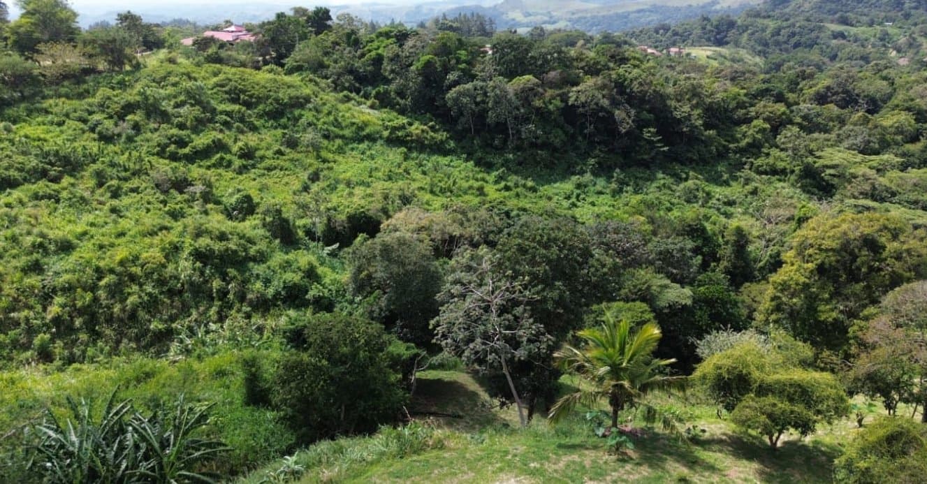 Country in Laguna de San Carlos, Almost One Hectare P-0203 - Image 4