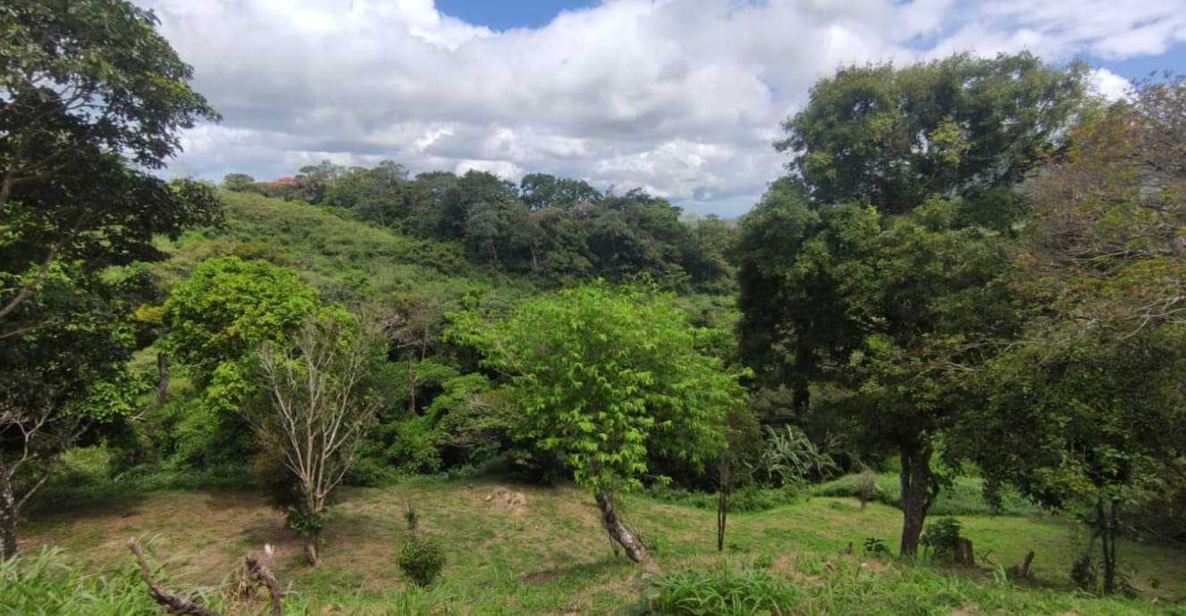 Country in Laguna de San Carlos, Almost One Hectare P-0203 - Image 5