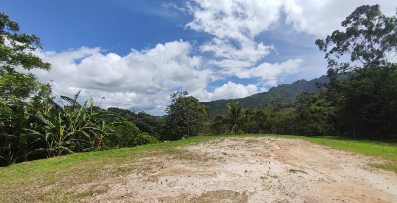 Country in Laguna de San Carlos, Almost One Hectare P-0203 - Image 7