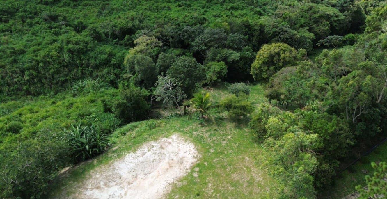 Country in Laguna de San Carlos, Almost One Hectare P-0203 - Image 8