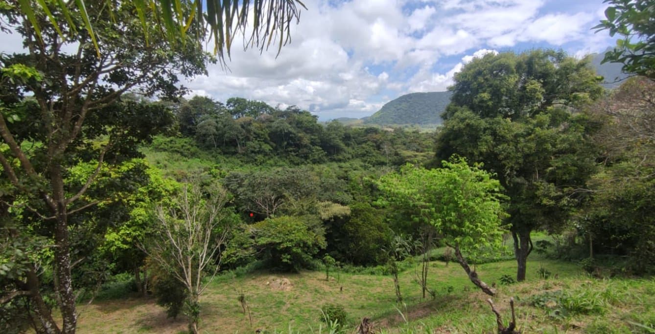 Country in Laguna de San Carlos, Almost One Hectare P-0203 - Image 9