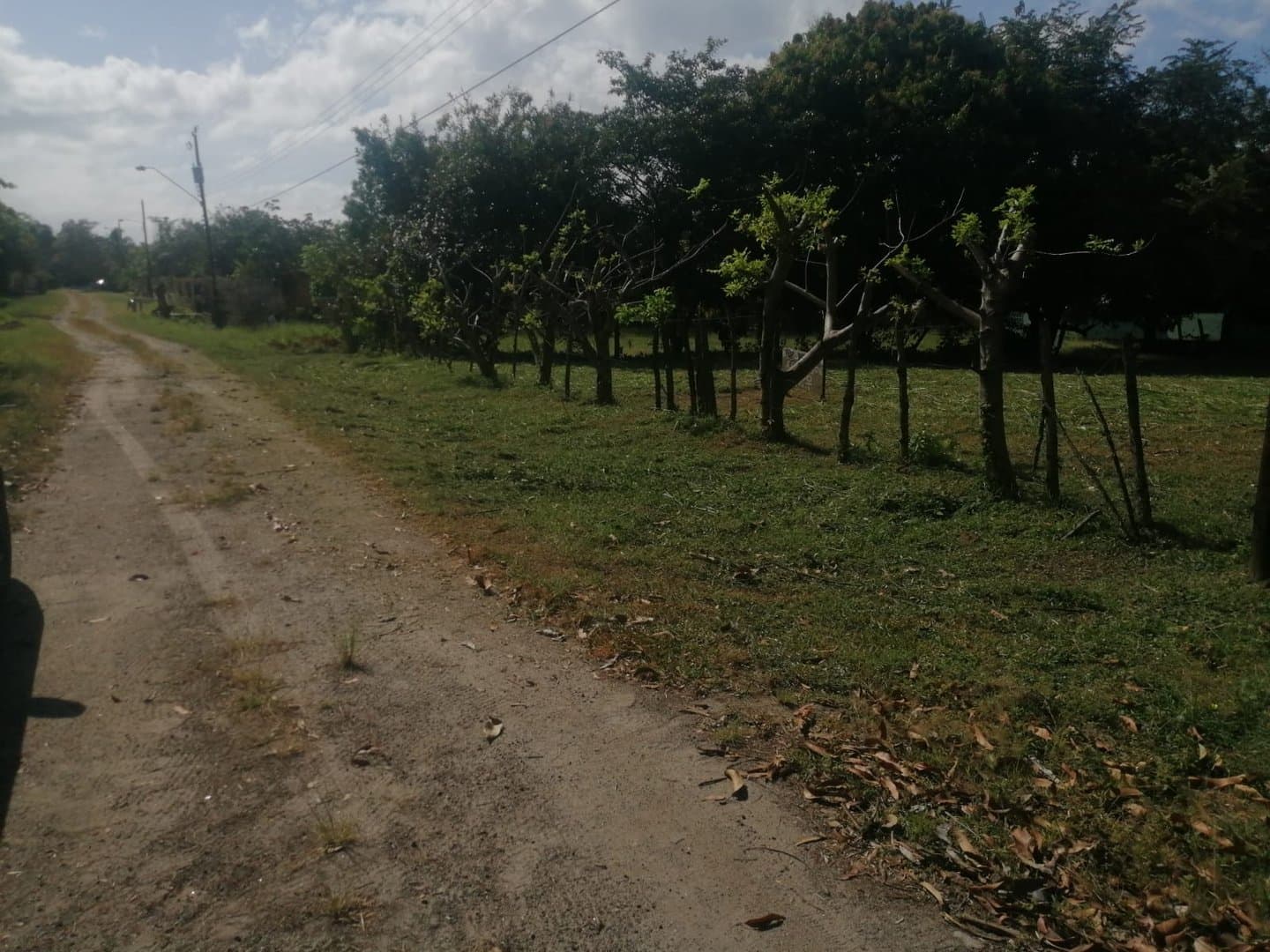 Country in Nueva Gorgona R-0461 - Image 5