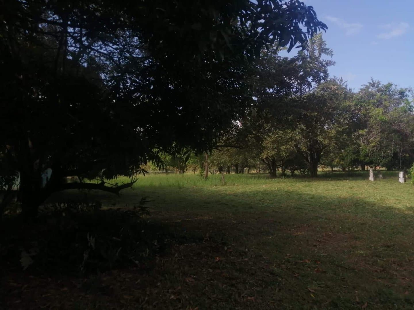 Country in Nueva Gorgona R-0461 - Image 6