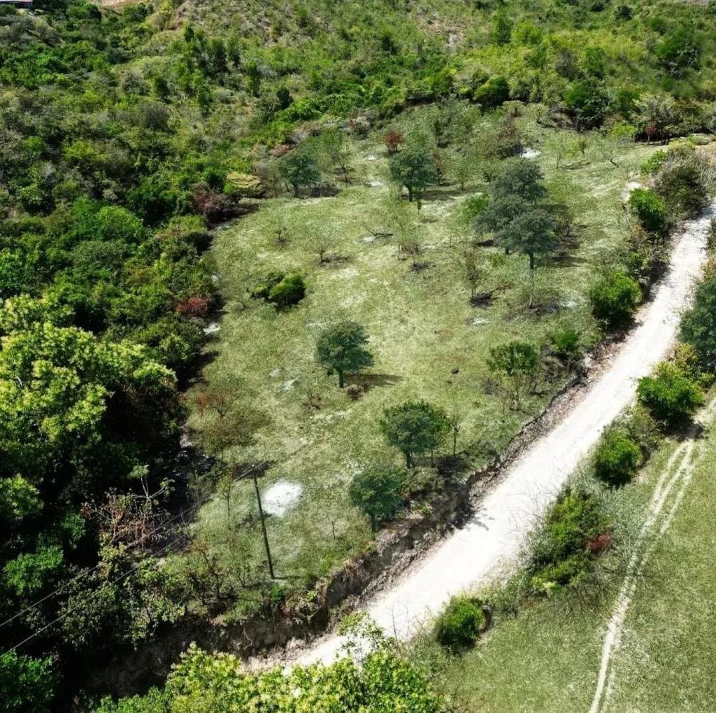 Large Land in El Higo, San Carlos, Panama Oeste R-0122 - Image 2