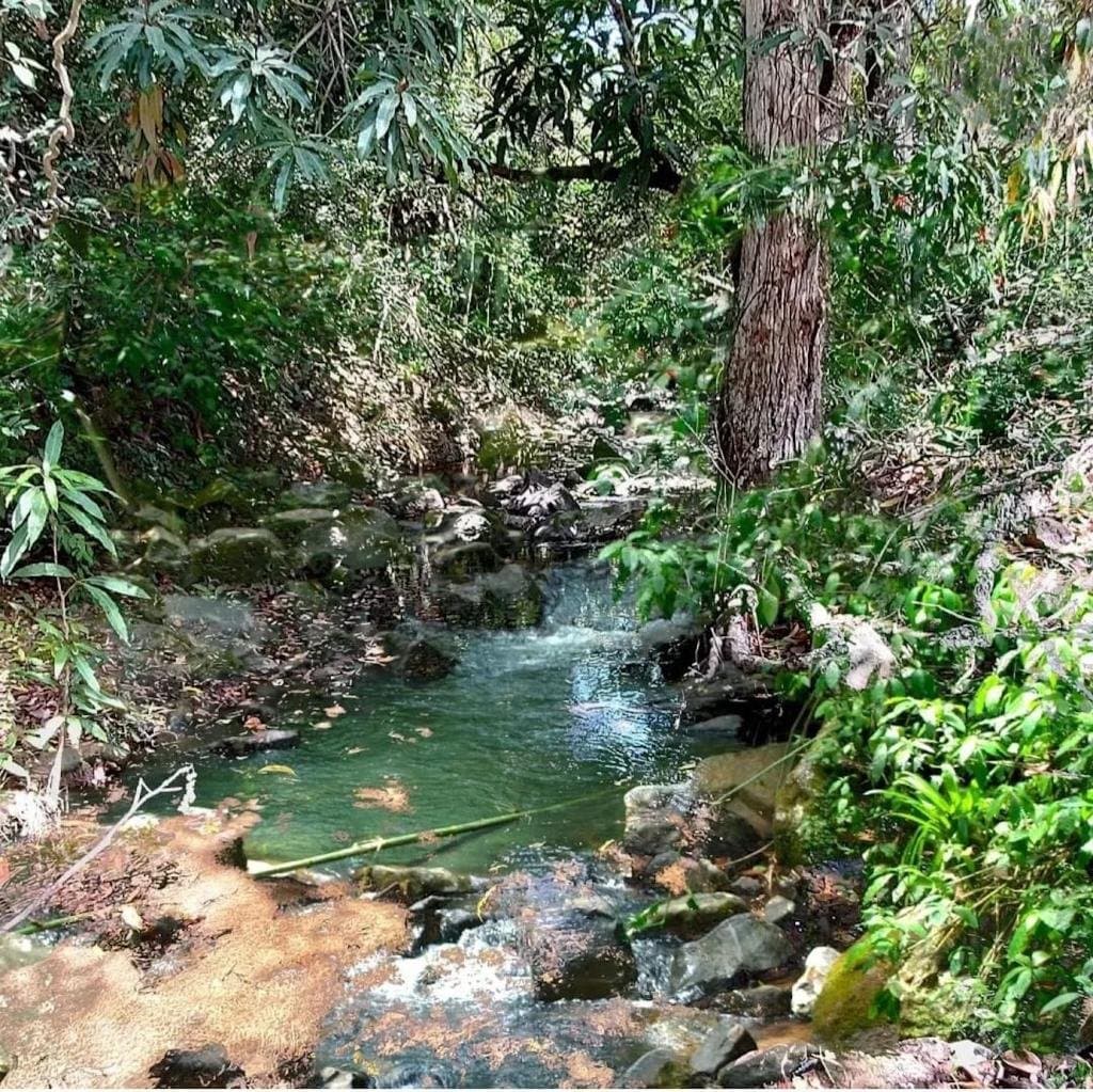 Large Land in El Higo, San Carlos, Panama Oeste R-0122 - Image 4