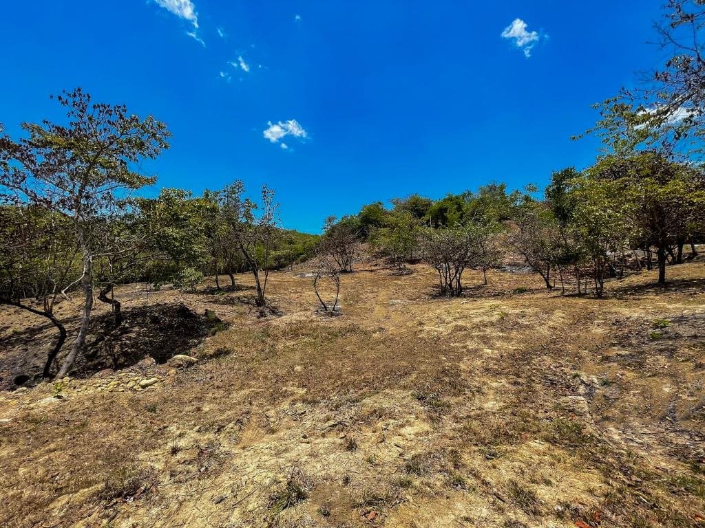 Large Land in El Higo, San Carlos, Panama Oeste R-0122 - Image 5