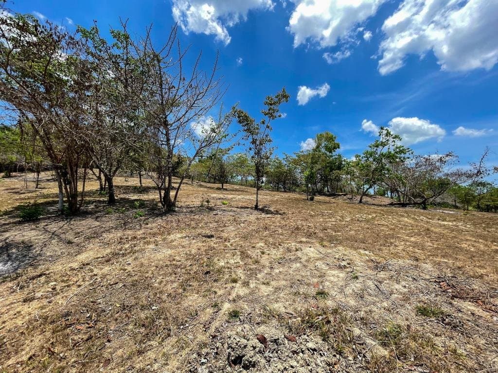 Large Land in El Higo, San Carlos, Panama Oeste R-0122 - Image 6