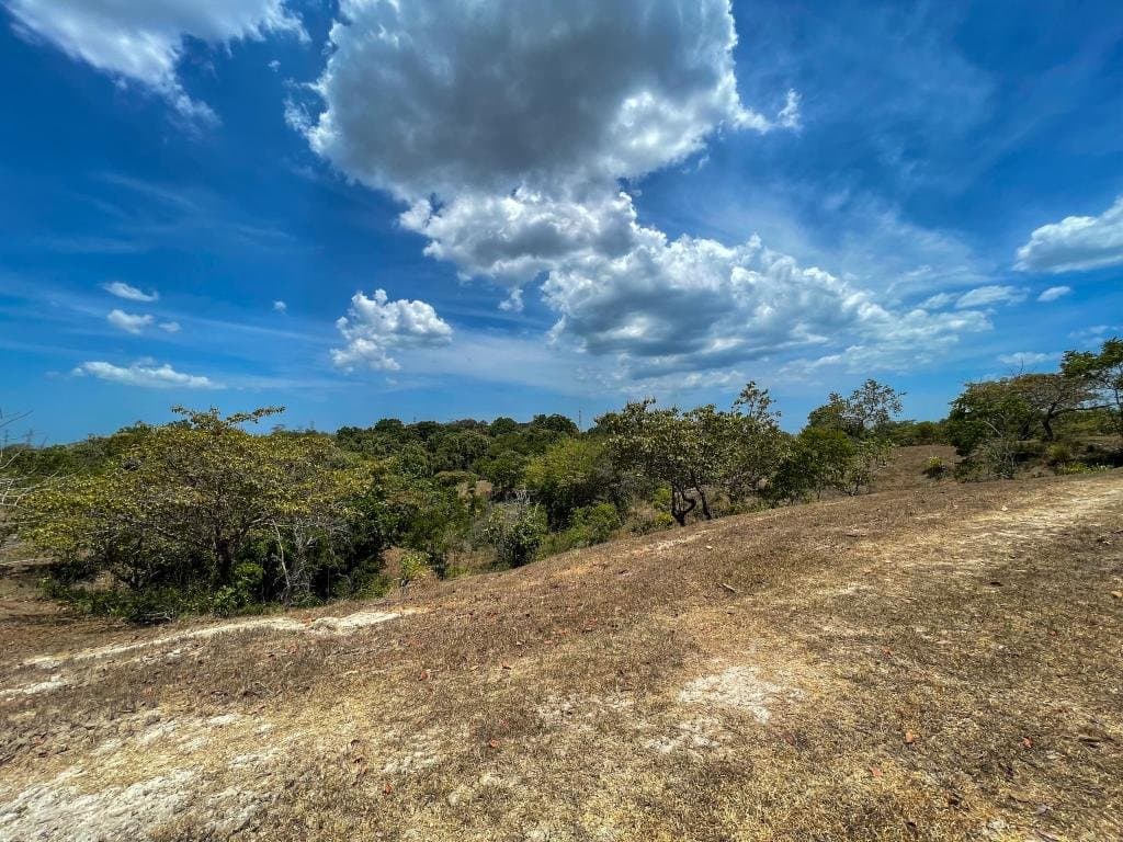 Large Land in El Higo, San Carlos, Panama Oeste R-0122 - Image 8