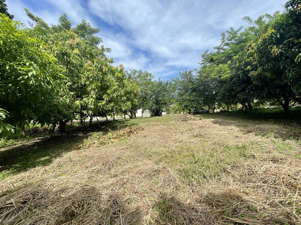 LOT FOR SALE close to beach in Nueva Gorgona, Panama Oeste R-0445 - Image 2
