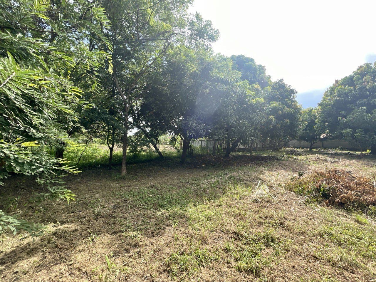 LOT FOR SALE close to beach in Nueva Gorgona, Panama Oeste R-0445 - Image 3