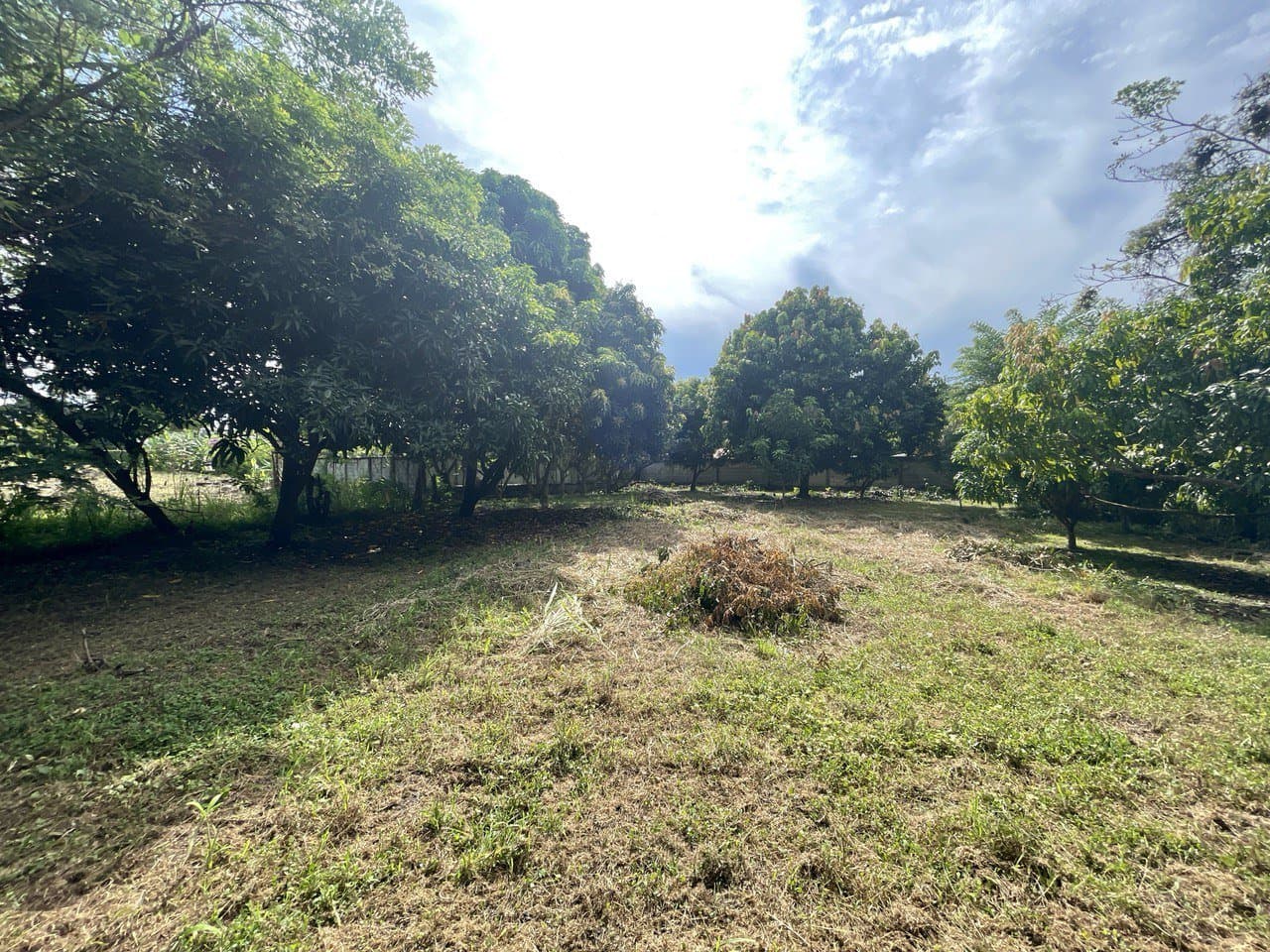 LOT FOR SALE close to beach in Nueva Gorgona, Panama Oeste R-0445 - Image 4