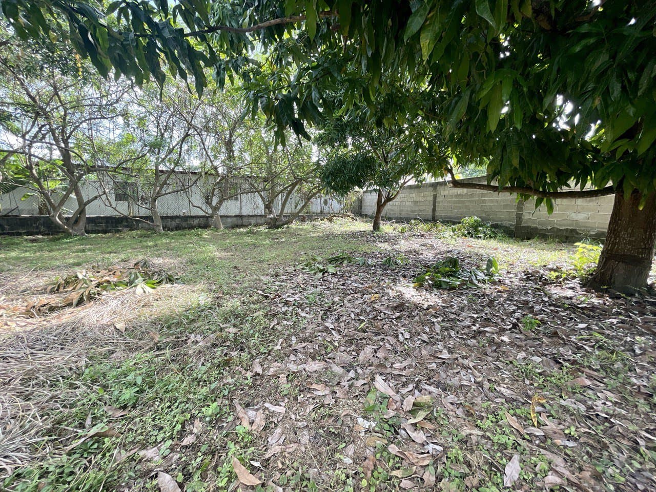 LOT FOR SALE close to beach in Nueva Gorgona, Panama Oeste R-0445 - Image 5