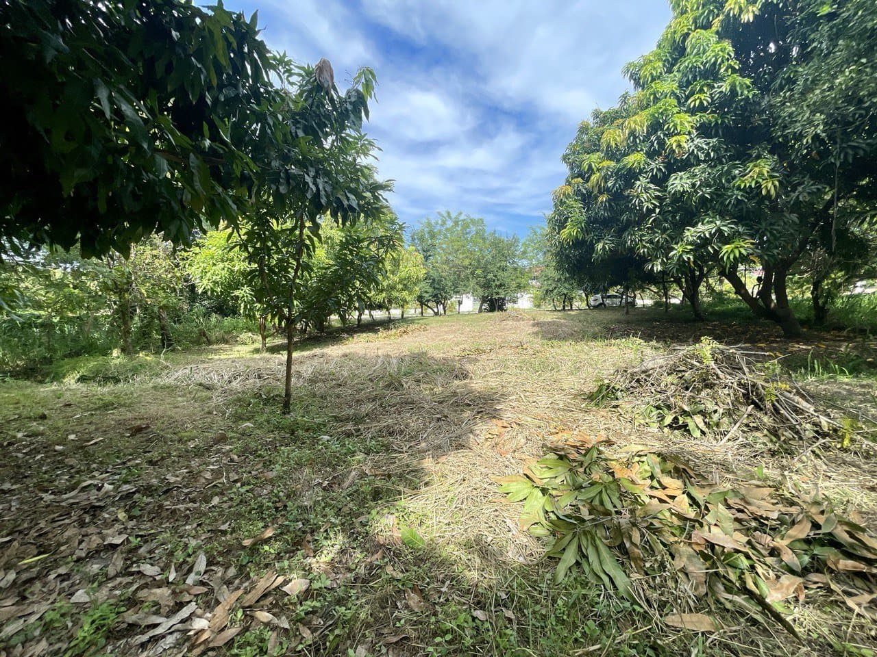 LOT FOR SALE close to beach in Nueva Gorgona, Panama Oeste R-0445 - Image 6