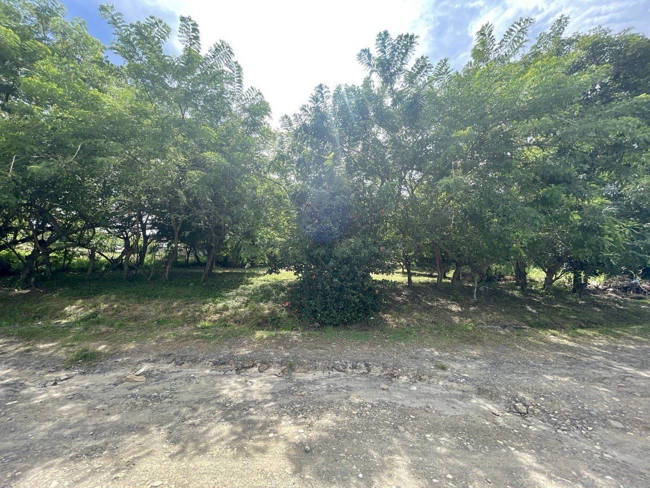 LOT FOR SALE close to beach in Nueva Gorgona, Panama Oeste R-0445 - Image 7