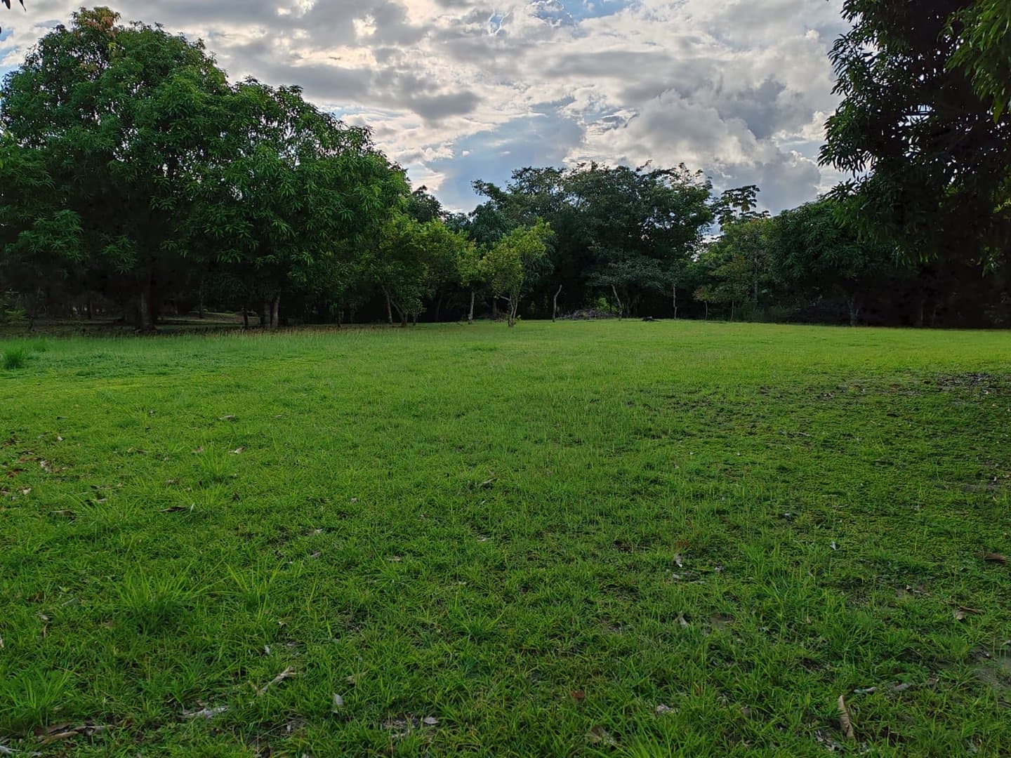 Lot Ready to Build, Close to the Beach in Las Guias, Rio Hato P-0570 - Image 2