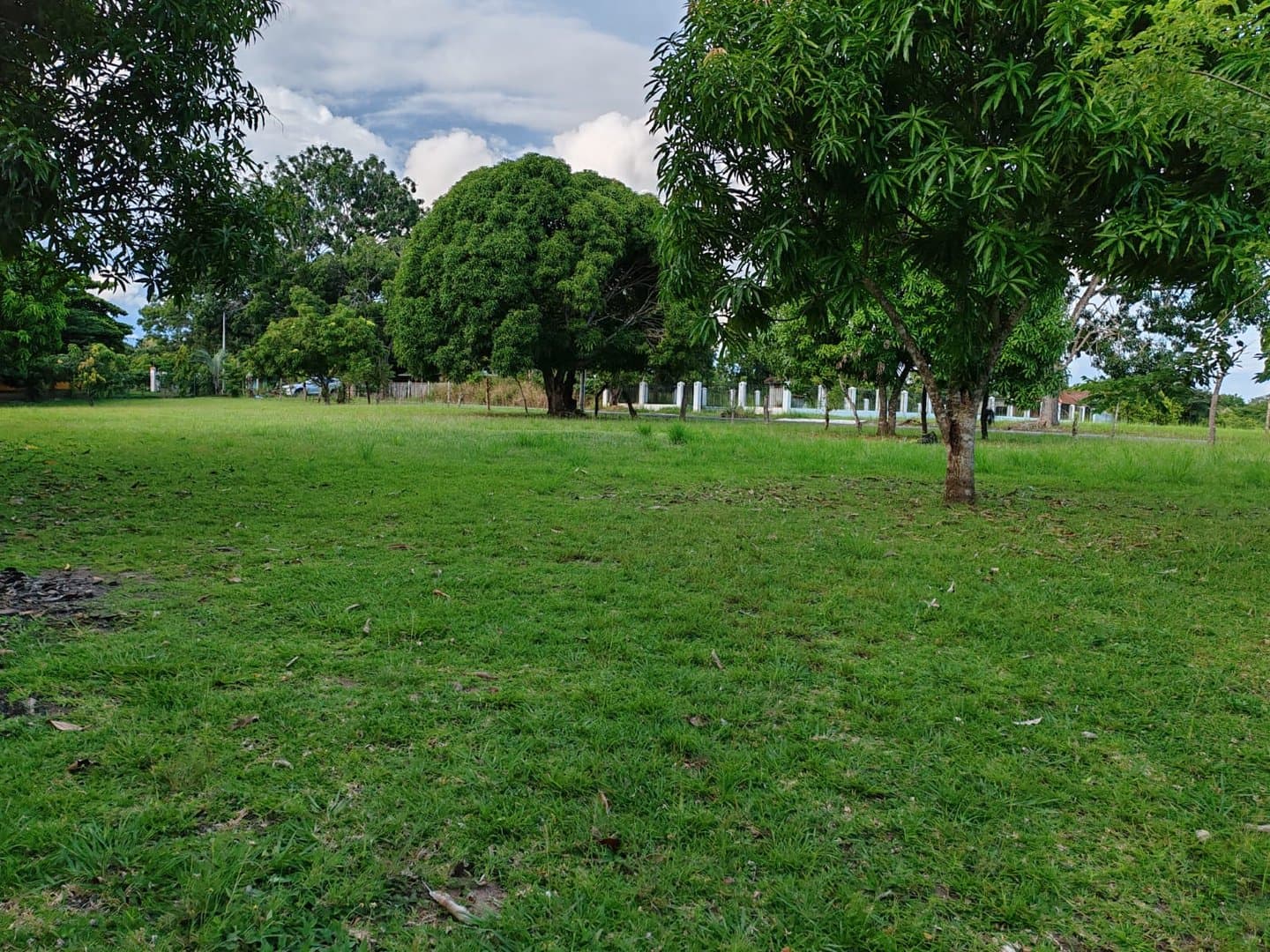 Lot Ready to Build, Close to the Beach in Las Guias, Rio Hato P-0570 - Image 3