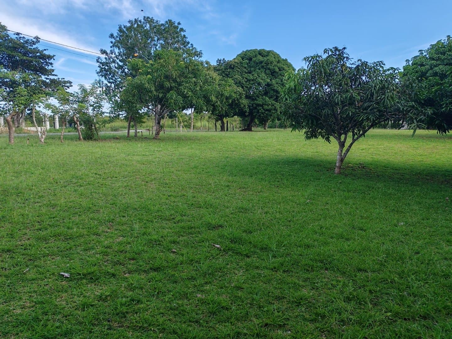 Lot Ready to Build, Close to the Beach in Las Guias, Rio Hato P-0570 - Image 4