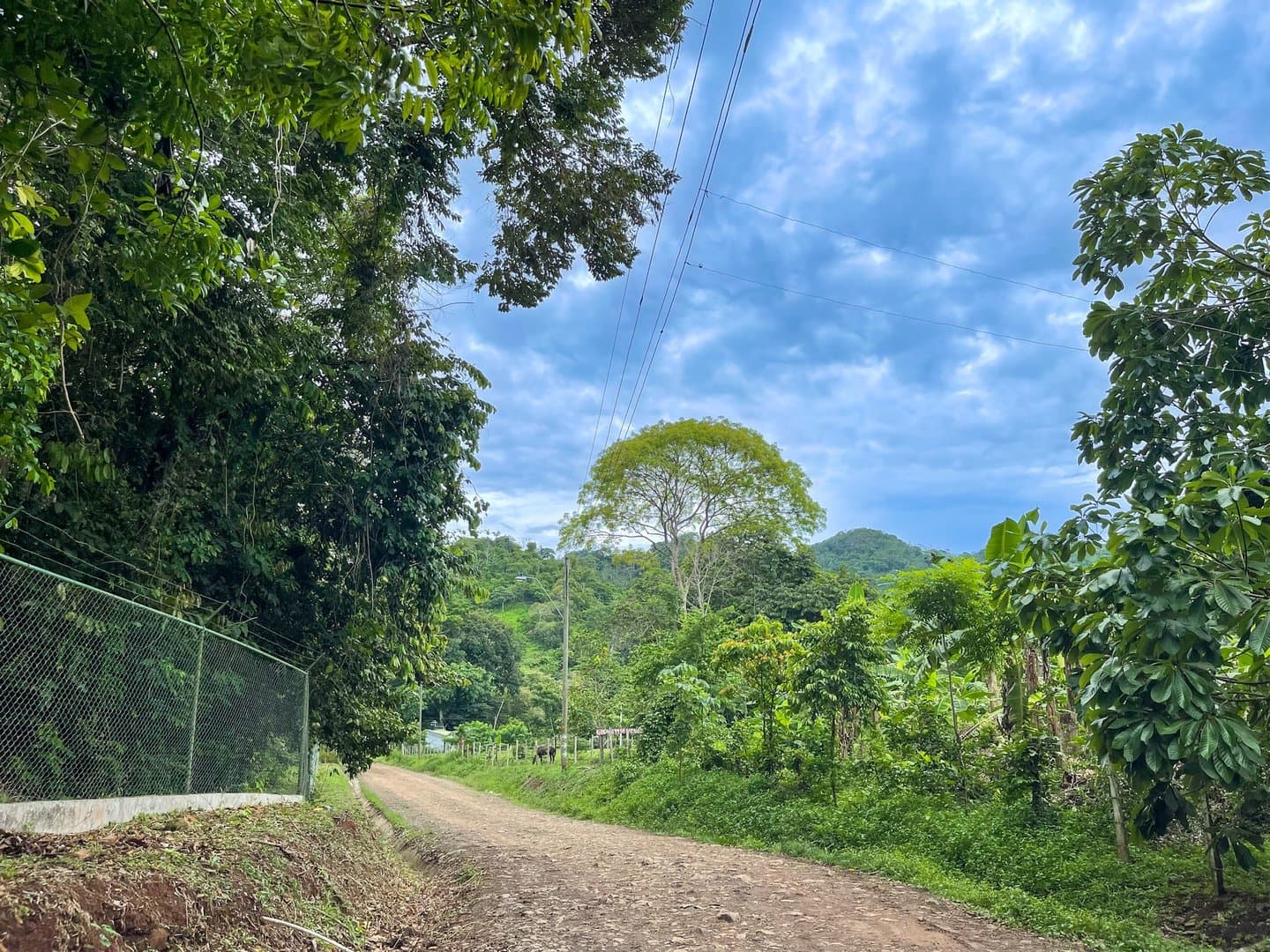 Modern Style House Blended with Nature, Capira R-0540 - Image 24