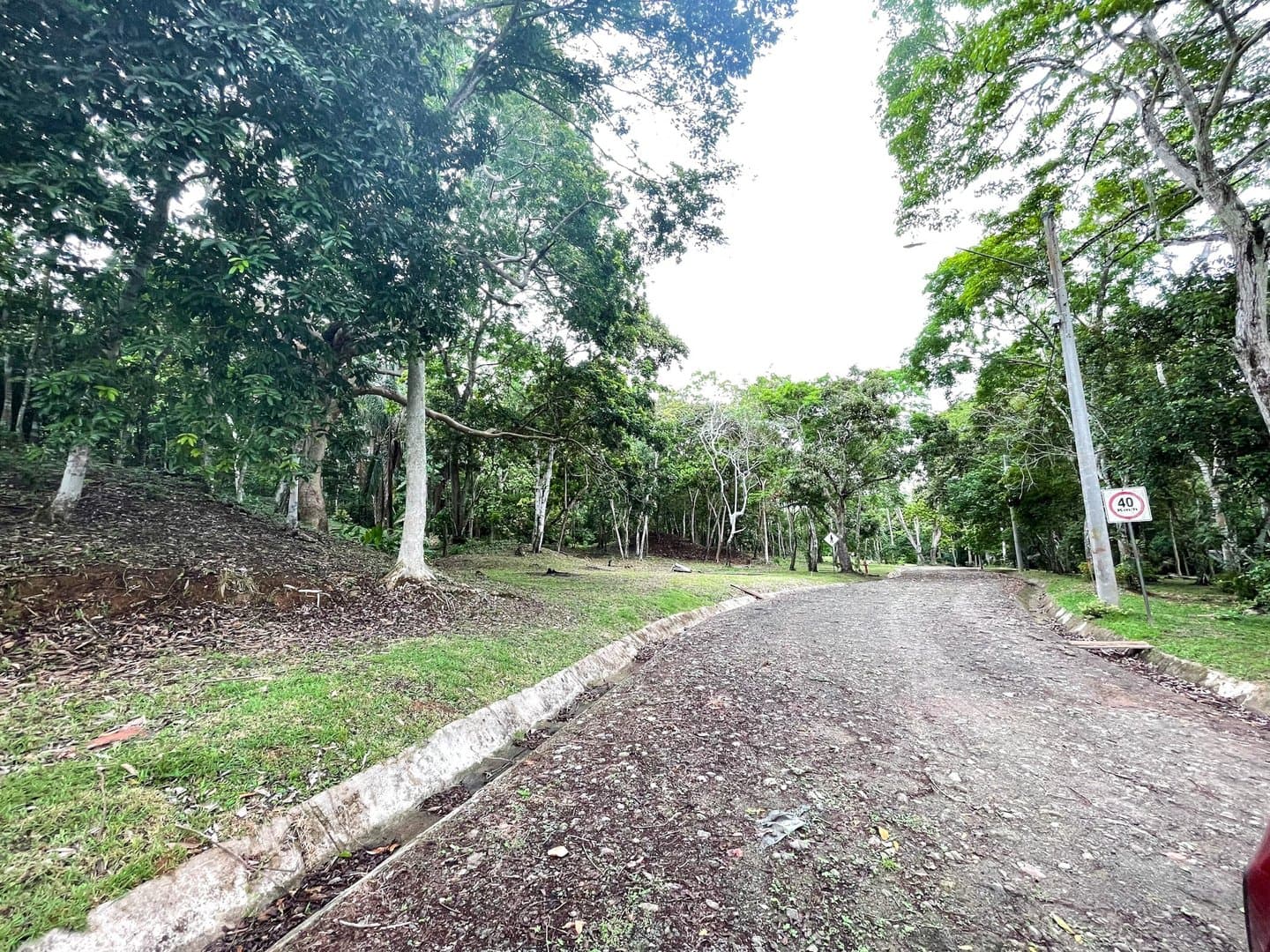 Modern Style House Blended with Nature, Capira R-0540 - Image 25