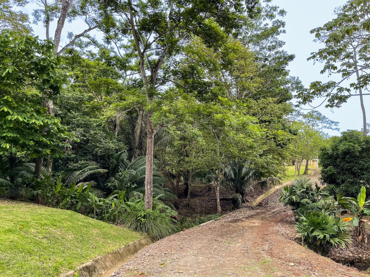 Modern Style House Blended with Nature, Capira R-0540 - Image 26