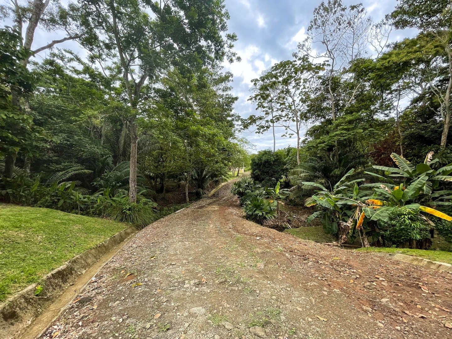 Modern Style House Blended with Nature, Capira R-0540 - Image 27