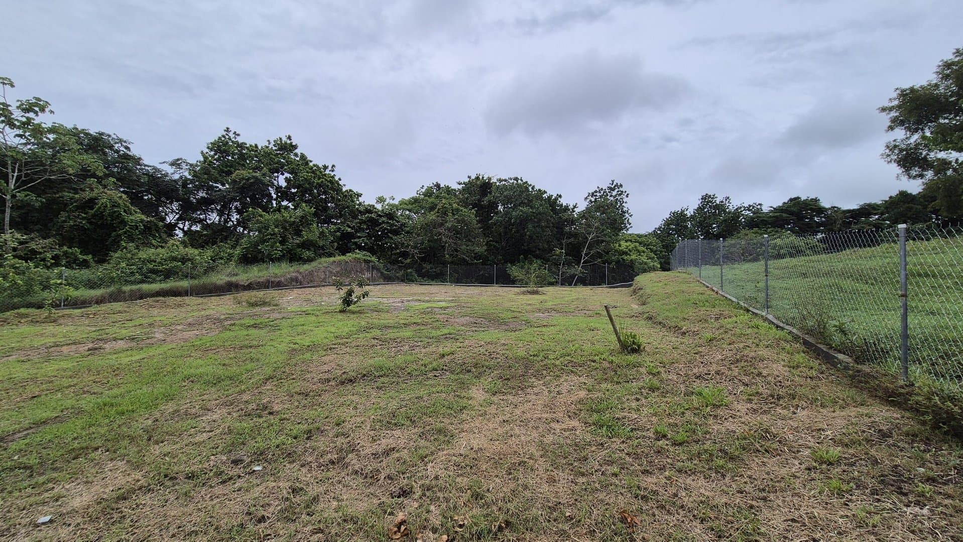 Nearly Complete Home Surrounded by Nature in El Higo, San Carlos P-0276 - Image 34