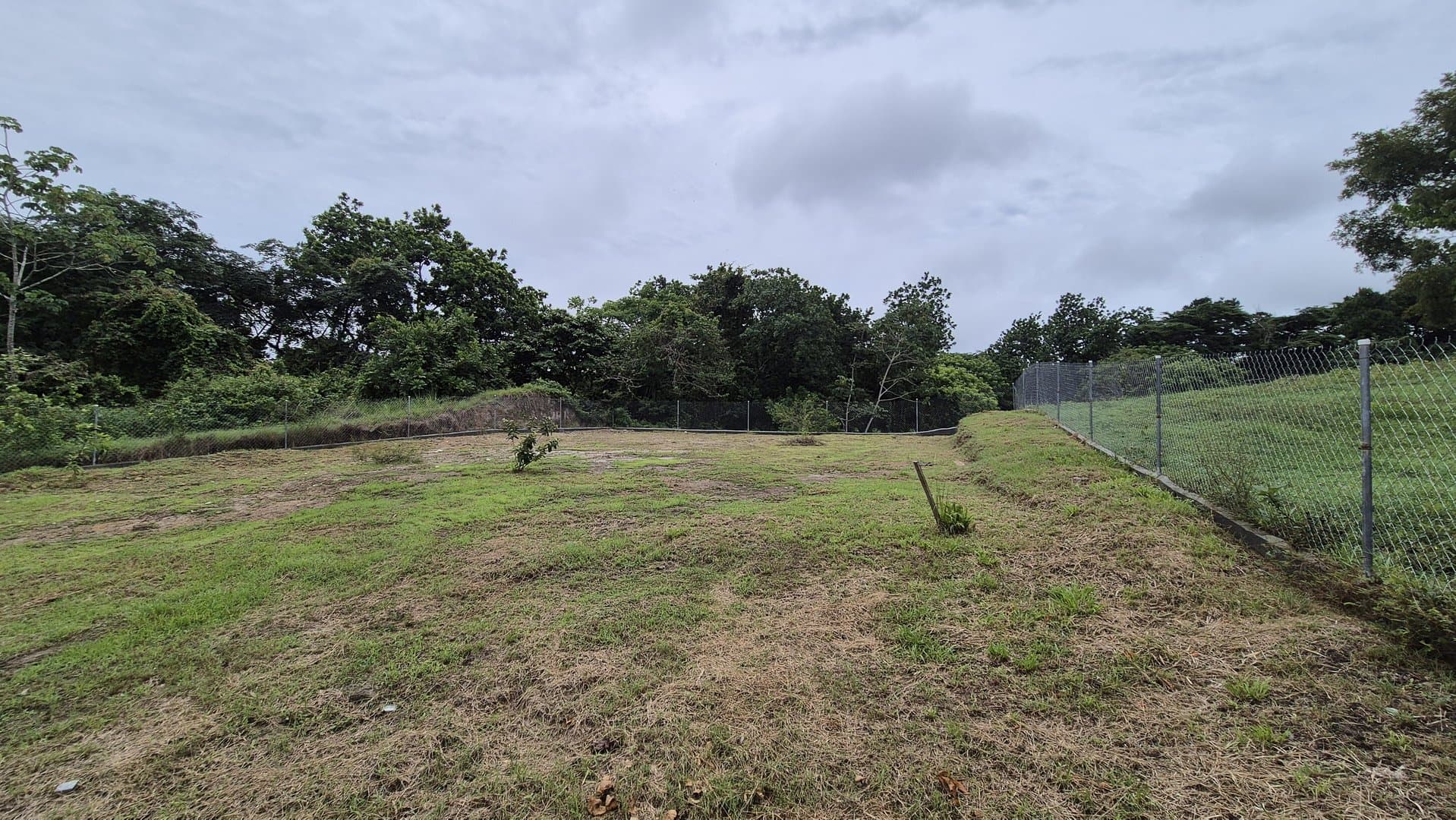 Nearly Complete Home Surrounded by Nature in El Higo, San Carlos P-0276 - Image 86
