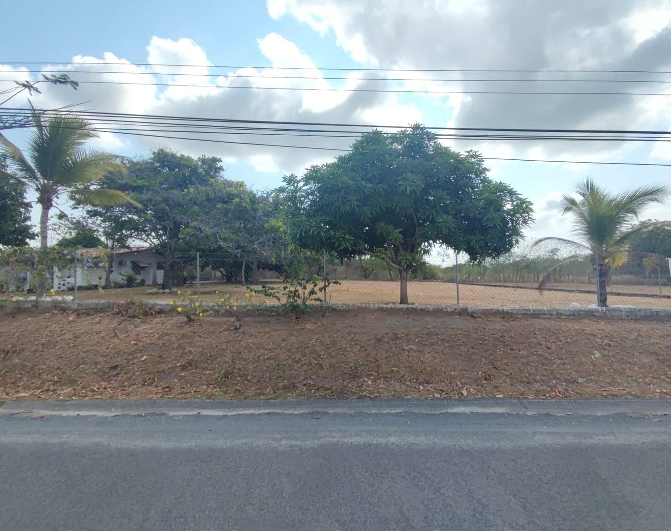 Opportunity – lot for sale in Coronado R-0014 - Image 1