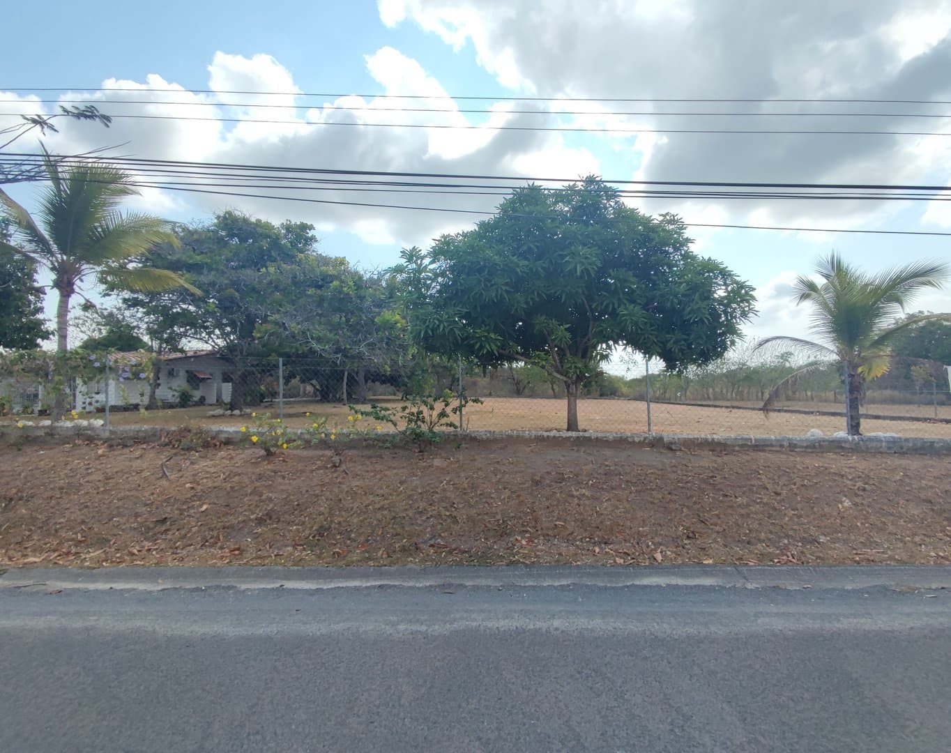 Opportunity – lot for sale in Coronado R-0014 - Image 12