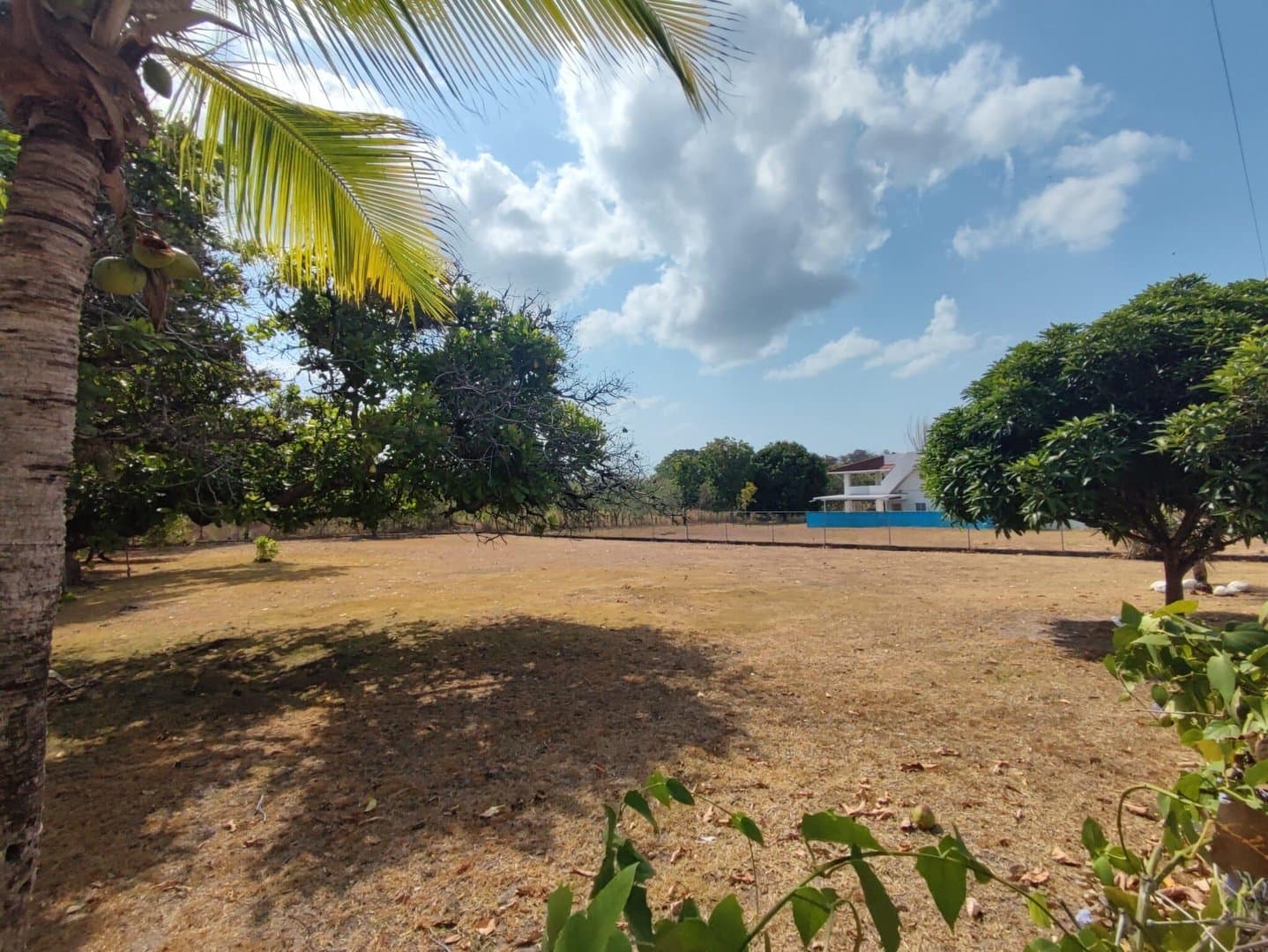 Opportunity – lot for sale in Coronado R-0014 - Image 11
